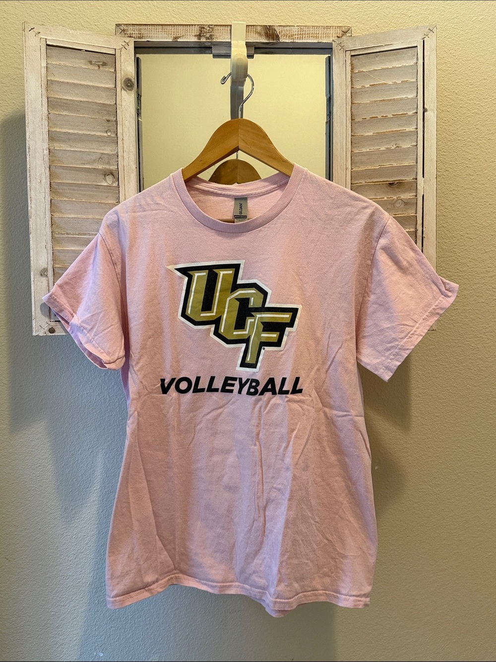 Gildan Pink UCF Volleyball Graphic Tee